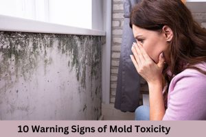 Mold Toxicity